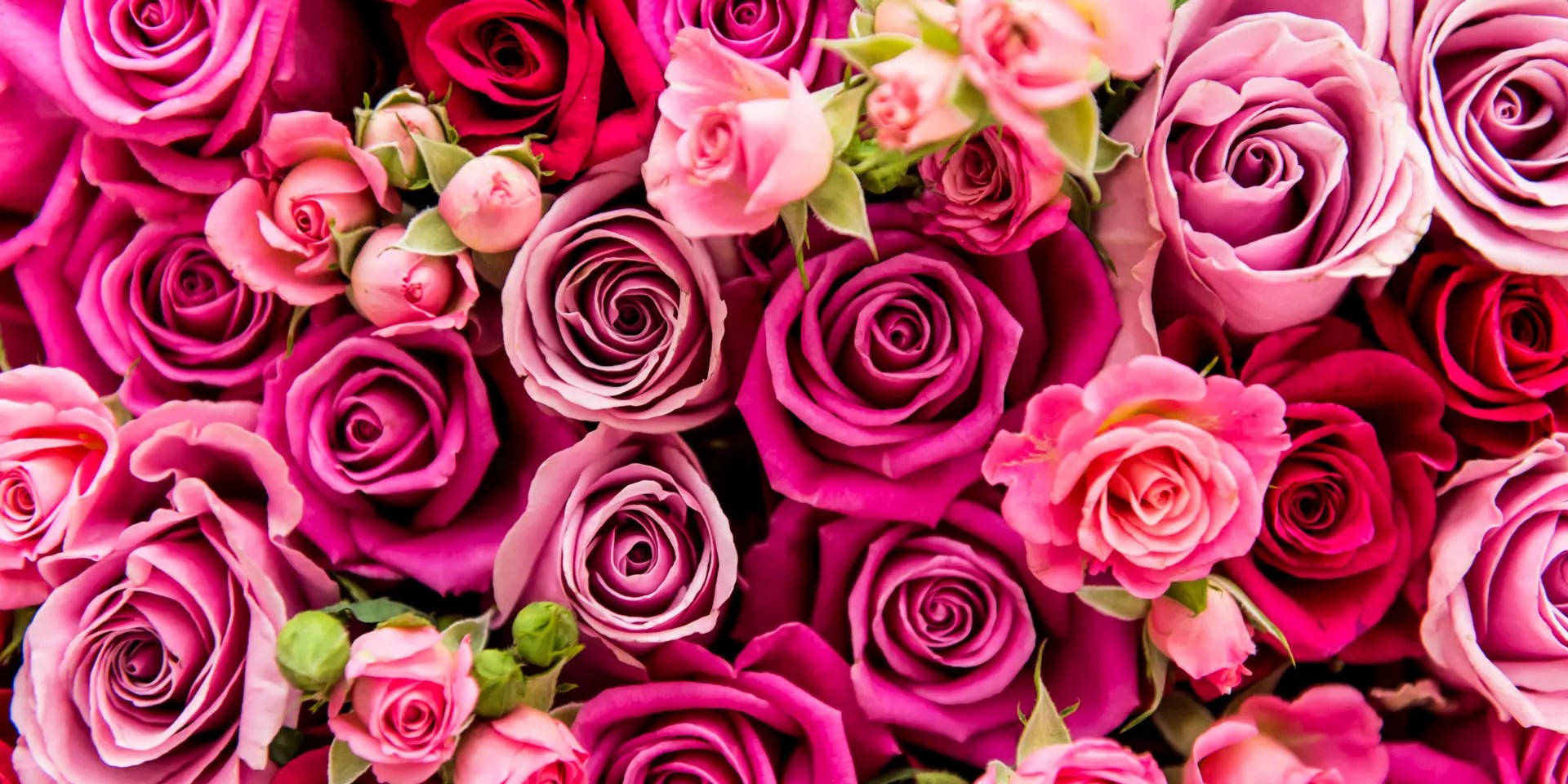 Siku Ya Wapendanao 2025: Maelezo Kuhusu Asili, Usuli Na Mila Zake