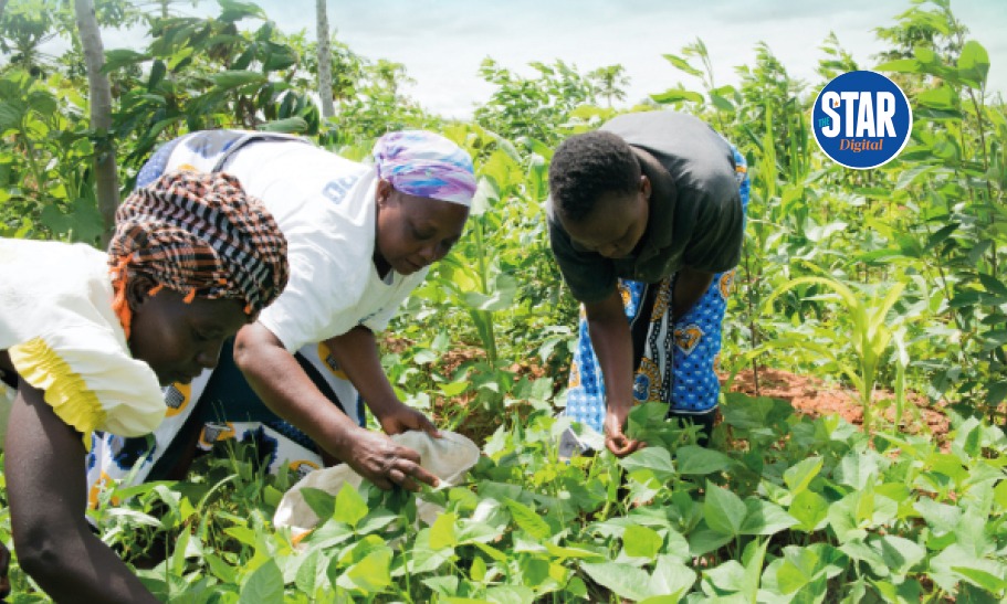 Top 10 counties in contributing to Kenya's agriculture sector