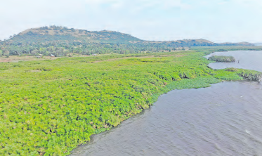 Communities push to give Yala Swamp international recognition