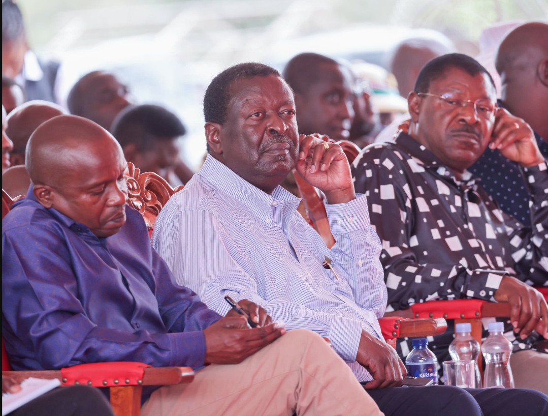 Mudavadi: Regional peace key to Kenya’s growth