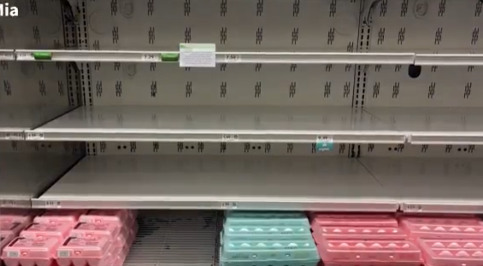 Economic Watch: U.S. egg shortages continue with no sign of ending