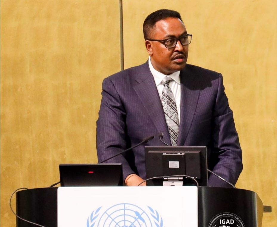 IGAD assumes chairmanship of Inter-REC Coordination Platform