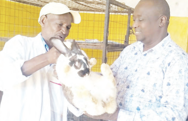 Entrepreneurs running rabbit slaughterhouses decry animal shortage