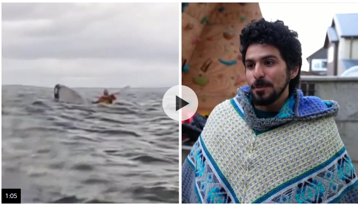 'I felt a slimy texture brush my face': Man describes being swallowed by whale