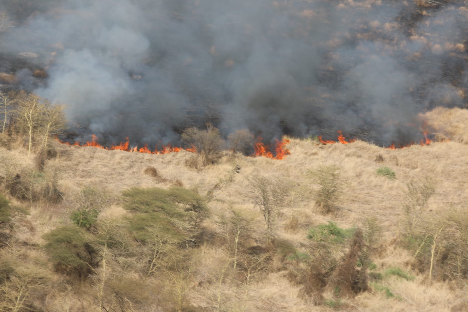 KFS suspends vegetation burning near forests