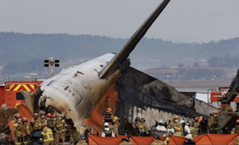 South Korea orders airports to install bird detection cameras