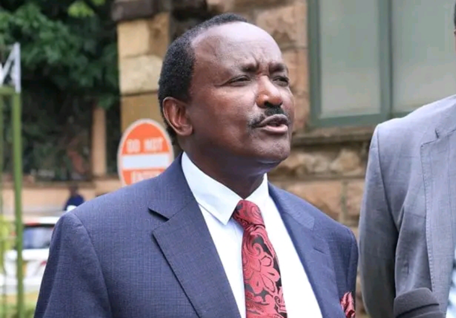 Kalonzo akanusha kukutana na Ruto baada ya video wakiwa ikulu kusambazwa