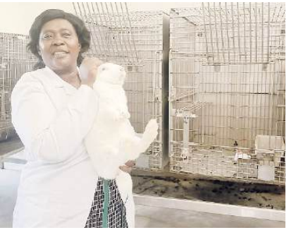 Scientists: Feeding rabbits greens great way to kill stress