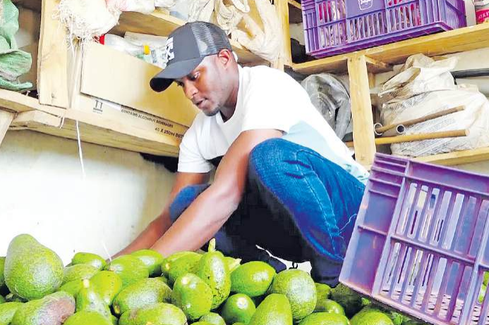 China-Africa forum pushes for stronger farming deals