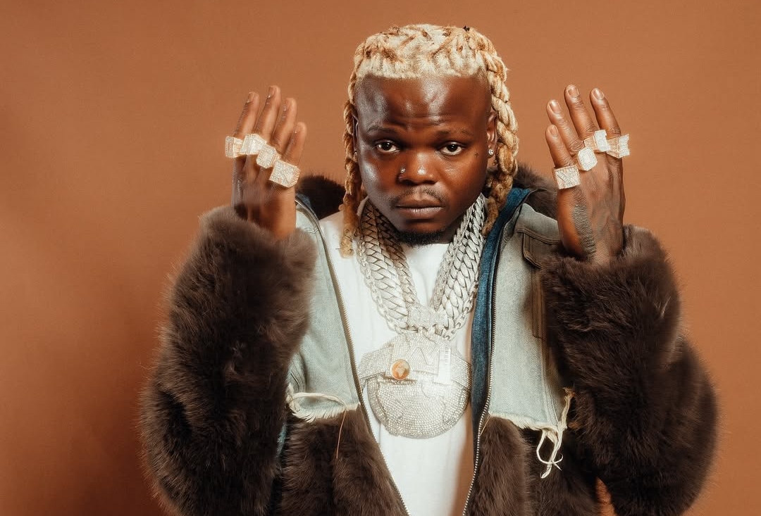 Why Harmonize Didn't Perform at Burna Boy's Concert