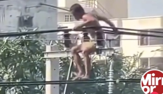 Jamaa arekodiwa akifanya 'push-ups' kwenye transfoma akiwa kifua wazi