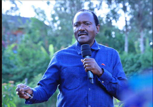 Kalonzo: Consult opposition before IEBC team is picked