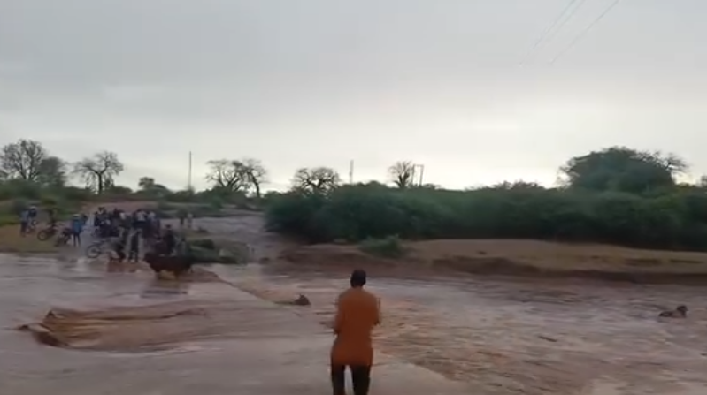 Cattle swept by swollen River Kambu in Makueni