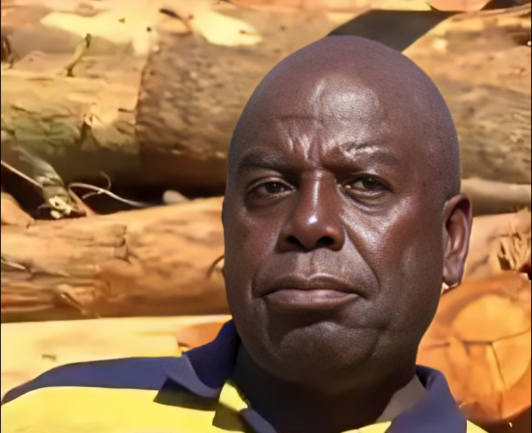 Ex-Deputy Governor now sells firewood for a living