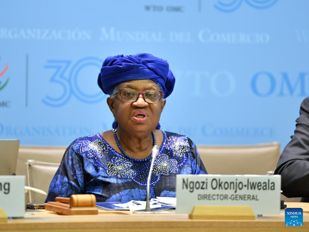 WTO: World merchandise trade expected to decline by 0.2 pct in 2025