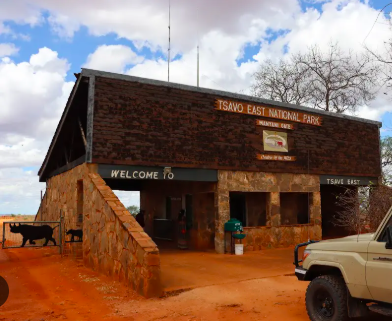 Family of four goes missing in Tsavo East Park