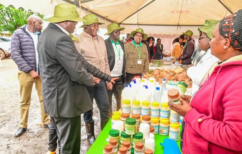 Farmers urged to manage coffee berry disease for better pay