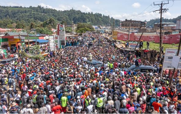 Mambo ni matatu! Ruto warns miraa cartels