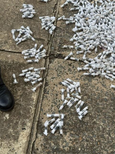4 in trafficking of ants to know fate after pleading guilty