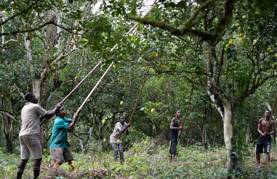 Why Africa is pushing for new agricultural paradigm