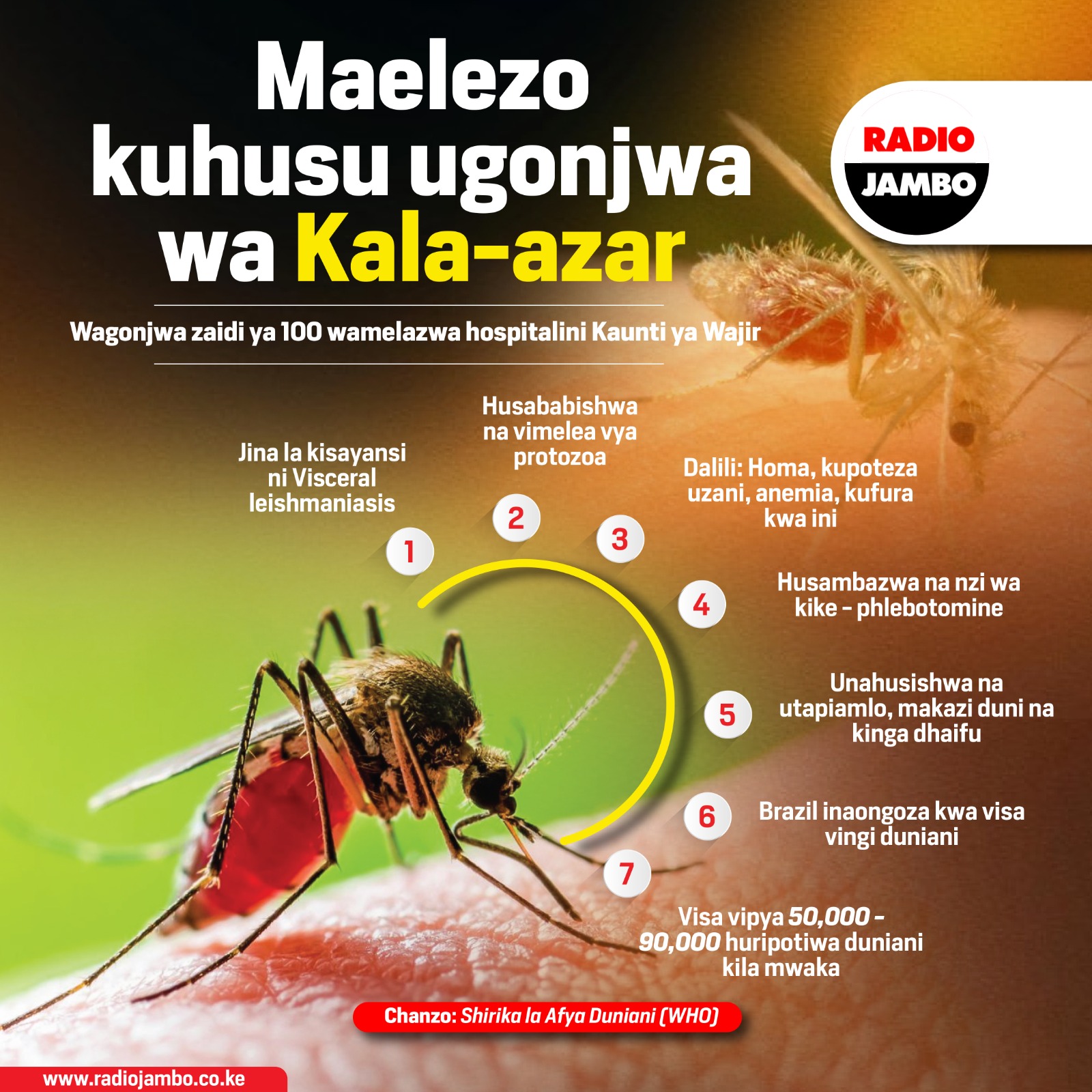 Maelezo kuhusu ugonjwa wa Kala-azar unaotatiza watu kaunti ya Wajir