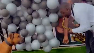 Jamaa afanya bonge la party kusherehekea siku ya kuzaliwa ya mbwa wake (video)