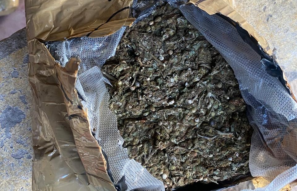 Police arrest suspected drug trafficker in Msambweni