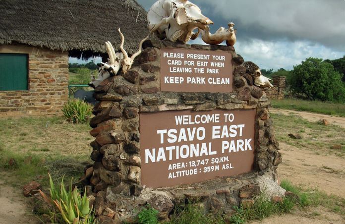 Four family members who went missing in Tsavo found