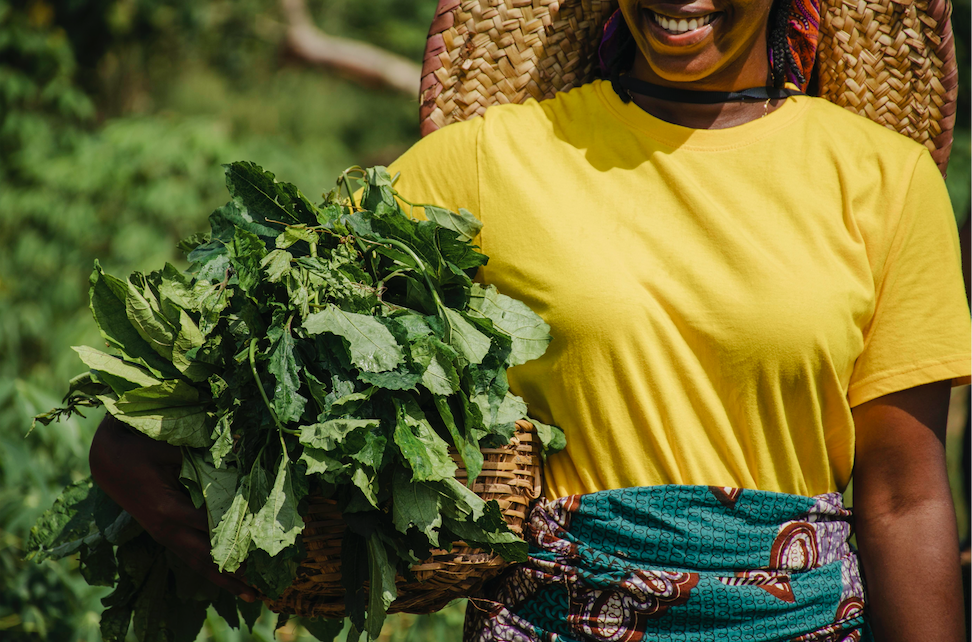 Kenyan women dealing in herbal medicine get support