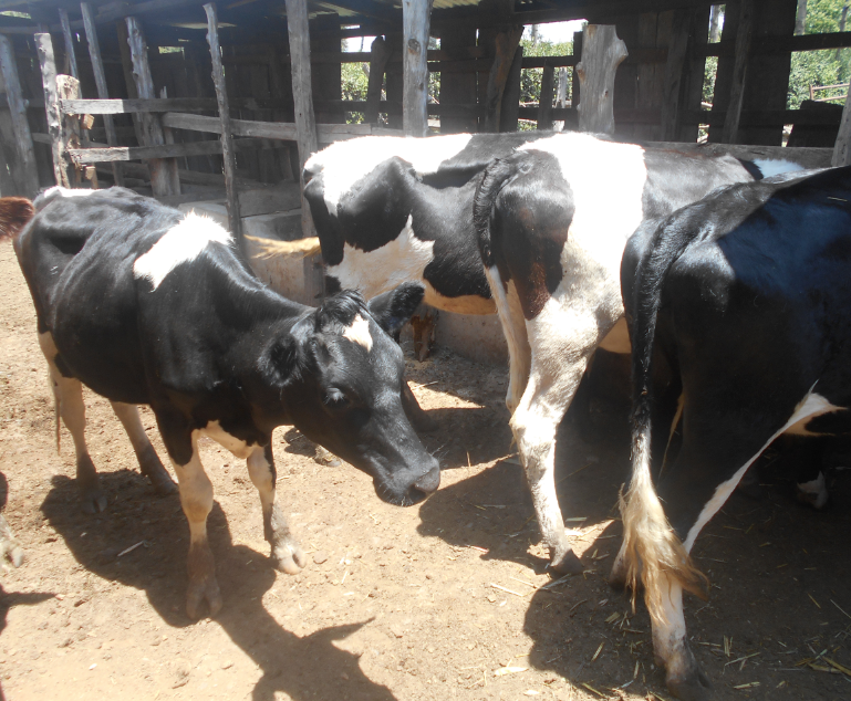 New plan to empower farmers in tech, market access