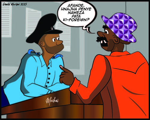 JIJI NDOGO: Of home comforts lost in translation