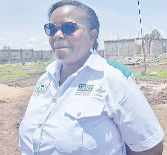 Kenya to launch modern rice seed facility in Mwea