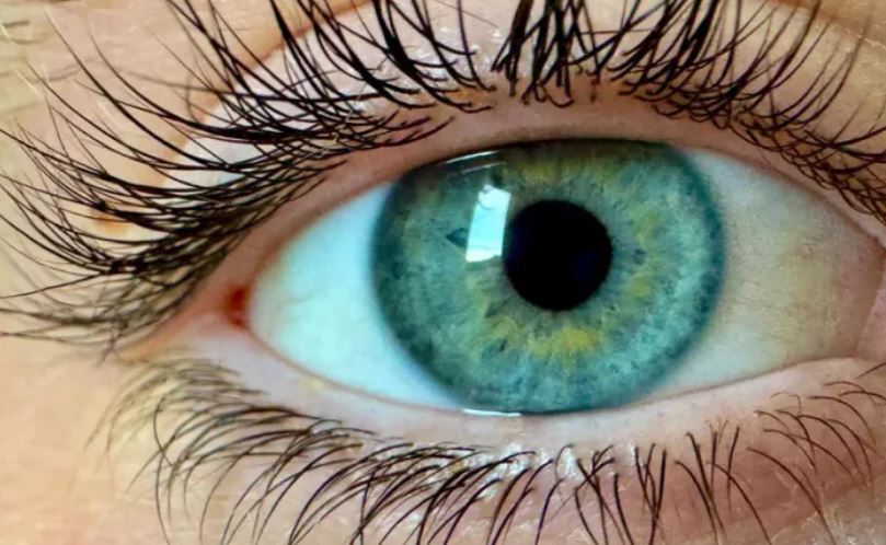 Scientists: We've discovered a 'new colour'