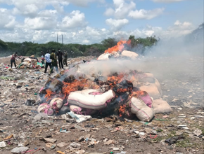 DCI destroys narcotics at Odda in Moyale