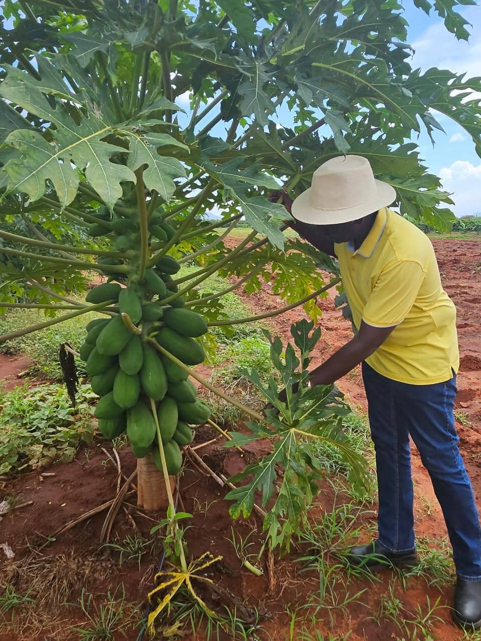 Ruto’s Diary: From development tour to unwinding at his farm