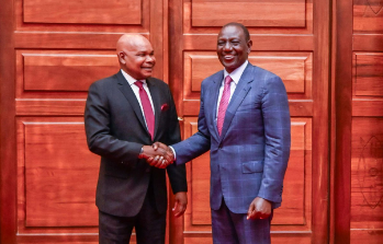 Ruto appoints Makau Mutua Senior Adviser of Constitutional Affairs