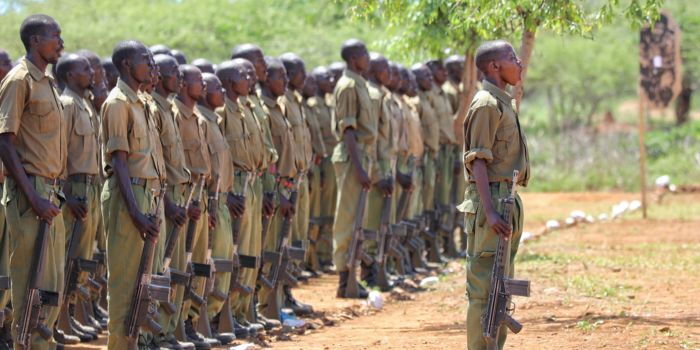 EXPLAINER: How police reservists are selected, armed