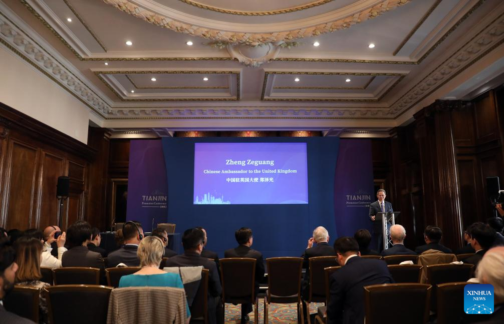 China defends global trade system amid US tariff tensions, says ambassador
