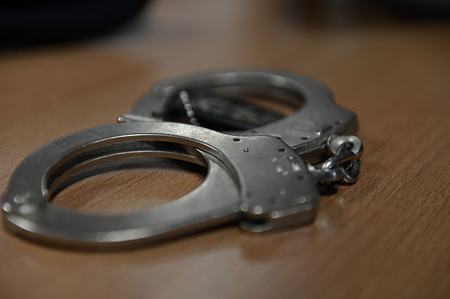 Netflix "Con Mum" Subject Arrested for Scam