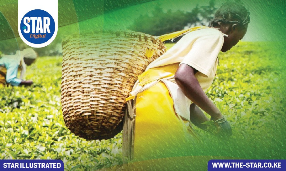 Key facts about the agriculture sector in the COMESA region