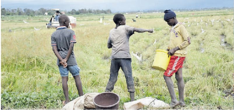 Kisumu partners with private firm to operationalise Sh30 million Ahero ...