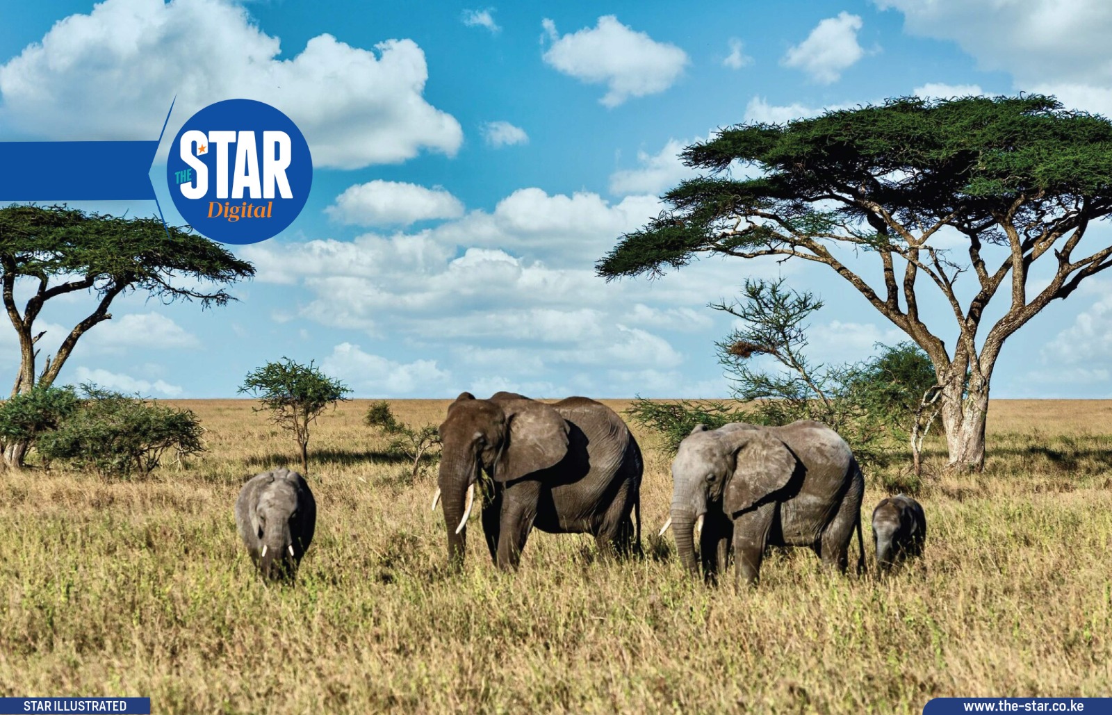 Human-Wildlife conflict compensation: National trend