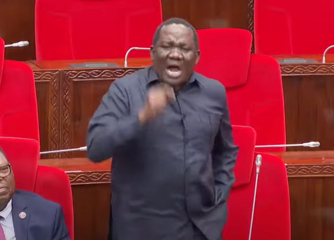 Angry TZ MPs scold Kenyans trolling Suluhu