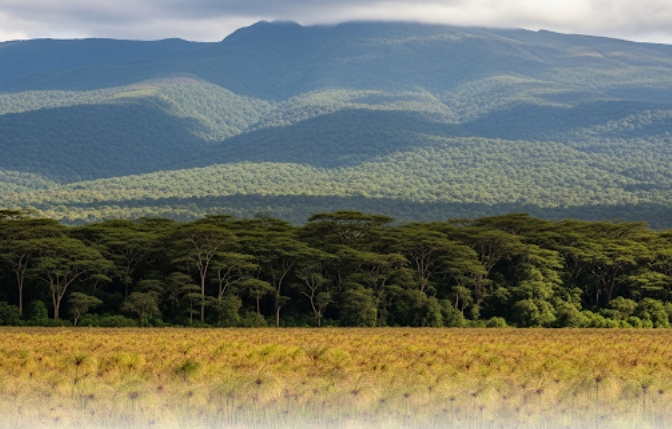 MSHENGA: Biodiversity conservation deserves prime-time attention