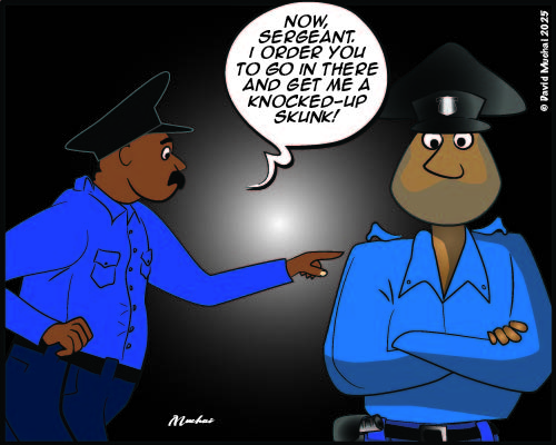 JIJI NDOGO: Pursuit of a skunk turns matters stinky