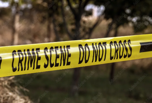 Report: Wajir was the safest county in 2024