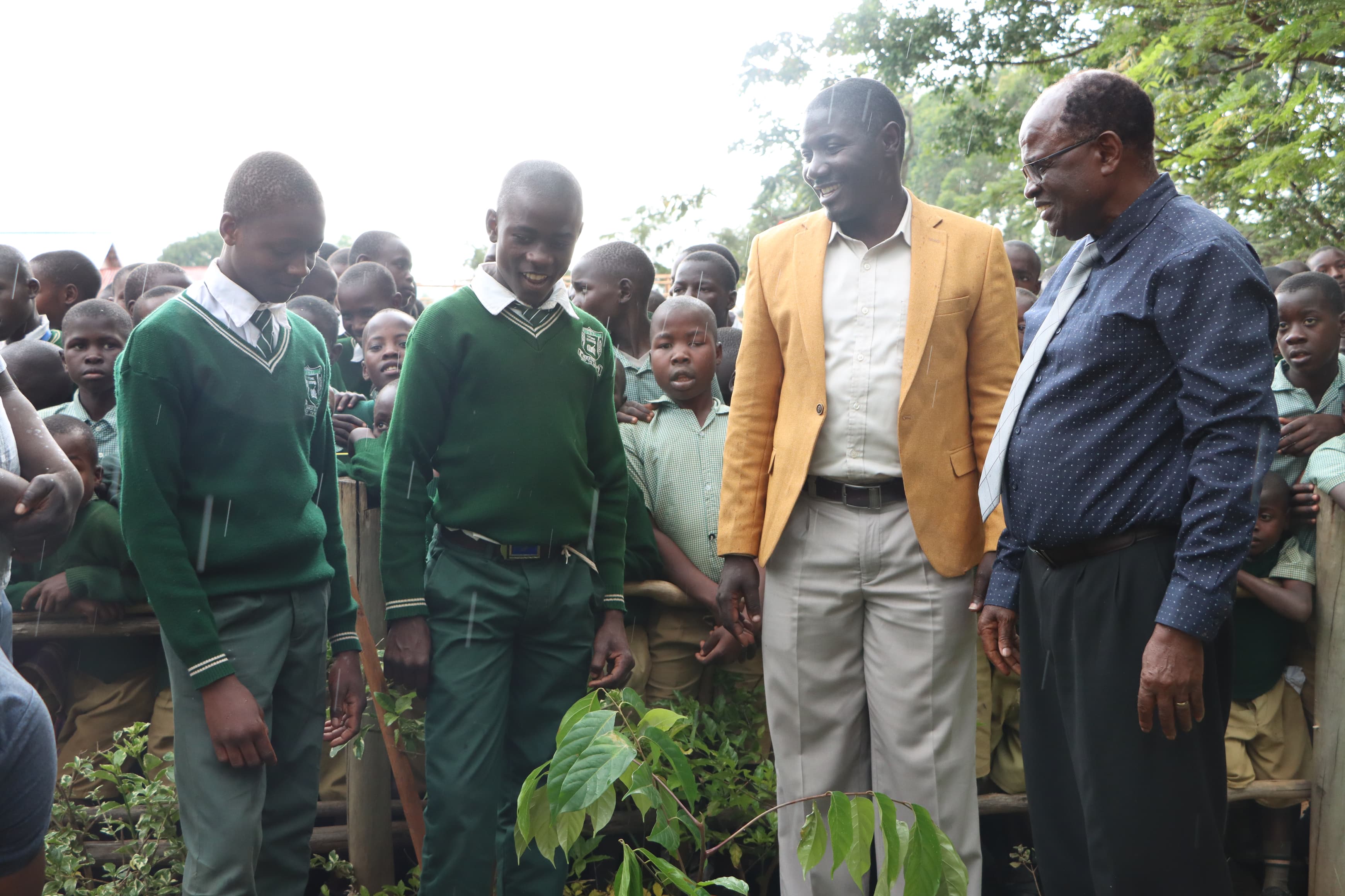 Rongo University launches Migori greening initiative
