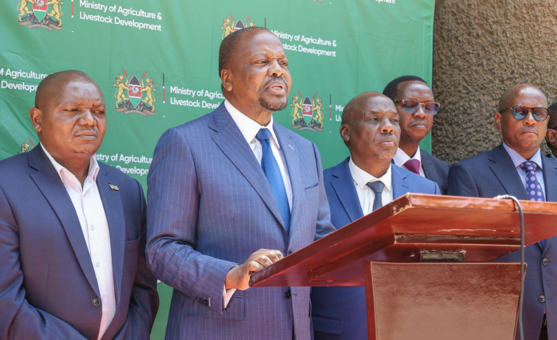 State releases subsidised maize to millers