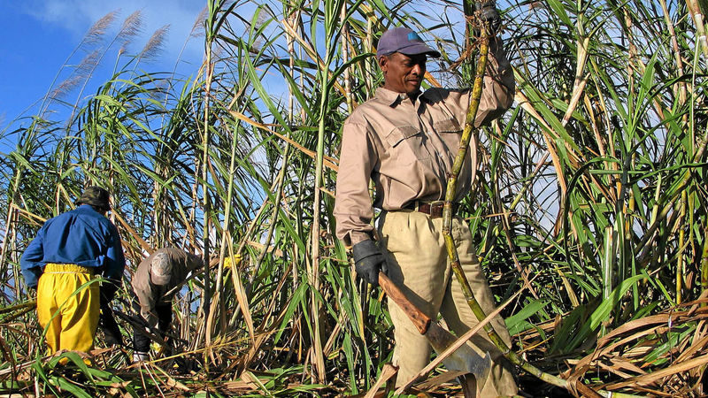 Farmers turn heat on politicians opposing lease of sugar factories