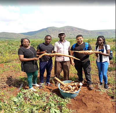 How cassava is powering climate-smart future